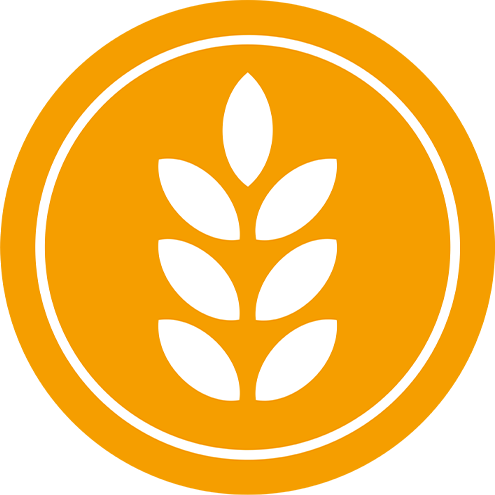 Gluten-Free
