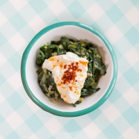 Special Aegean Herb Saute
